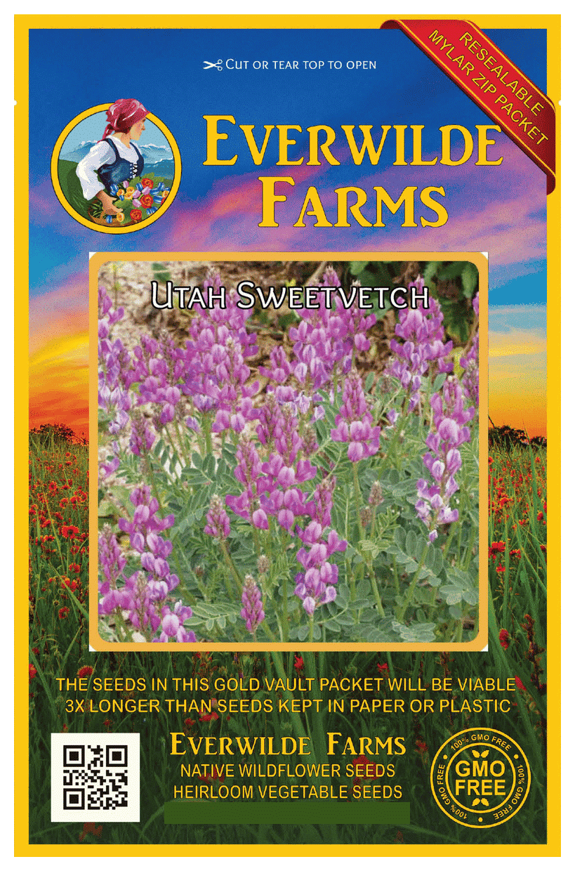 Everwilde Farms 10 Utah Sweetvetch Native Wildflower Seeds Gold