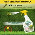 thumbnail image 3 of Harris Sea Salt 10X Weed & Grass Killer, 32 oz., 3 of 6
