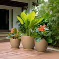 thumbnail image 5 of Round Flower Pots 10/8/6 inch for Indoor Plants with Saucer Modern Ceramic Planter for Live Houseplants Christmas Gift Matte Brown, 5 of 8