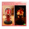 thumbnail image 4 of Flor Rosa Eterna  Luz Led Ideal Para Regalo Color Terracota, 4 of 4