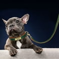 thumbnail image 4 of Didog Genuine Leather Dog Leash Walking Leash with Soft Handle Heavy Duty for Medium Large Dogs, 4 of 5