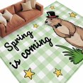 thumbnail image 2 of Groundhog Day 6'x9' Area Rug for Living Room, Green Plaid Spring Botanical Star Yellow Non-Slip Floor Mat Rugs for Bedroom Dining Room, Indoor Large Carpet for Classroom, Nursery Rugs for Playroom, 2 of 9