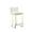White, variant on Pangea Home Dexter Counter Stool Faux Leather Black