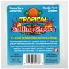 Tropical Grilling Cheese 12oz. Bbq