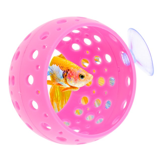Túnel Escondite para Betta de Unique Bargains Decoración Interactiva para Acuarios Túnel para Betta Punto de Escondite Emocionante Rosa