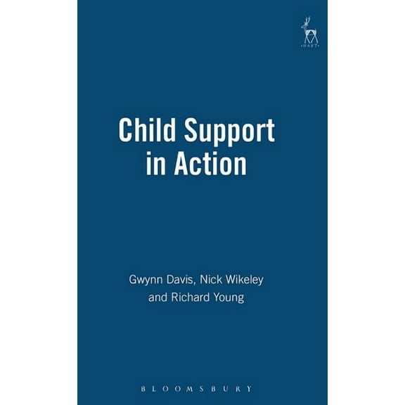 Child Support in Action, (Paperback)
