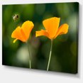 thumbnail image 2 of Fleurs Orange et Abeille Volante - Impression sur Toile Florale, 2 of 3