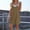 Khaki, variant on Sleeveless Dresses for Women Casual Summer Cotton Fashion Loose Round-Neck Solid Leaf Sleeve Dress