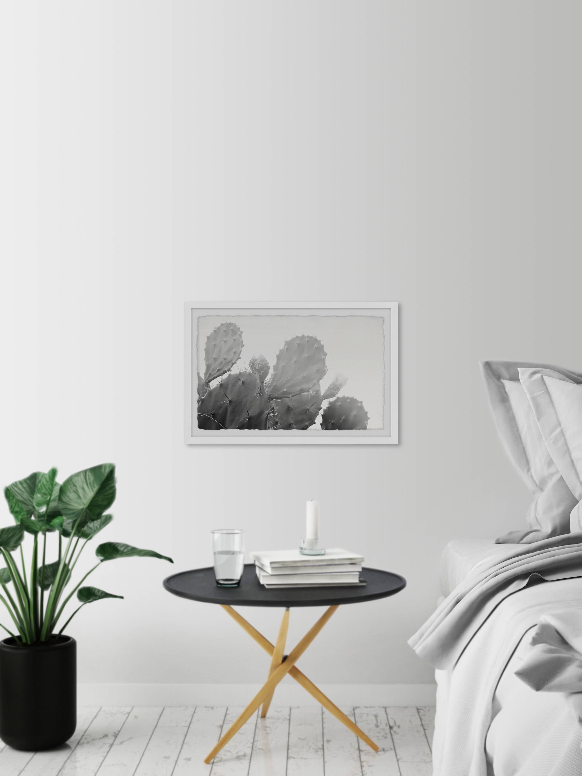 Marmont Hill Grey Cactus Framed Wall Art, 36.00" x 1.50"