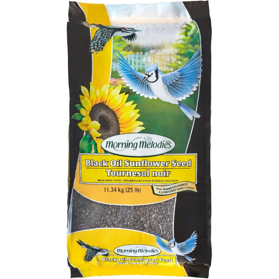 11.34kg Black Oil Sunflower Bird Seed Walmart Canada