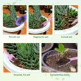 thumbnail image 4 of Uxcell 2-Conjunto Herramientas Suculentas, Plástico 2-en-1 Mini Pala de Jardín Herramientas de Trasplante de Suculentas Pala de Jardín Pala de Trasplante [Morado], 4 of 7