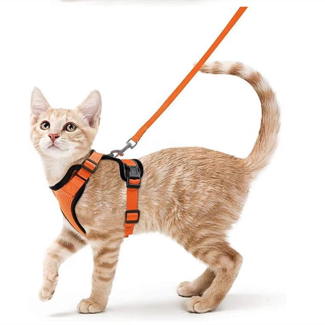Arnés para gatos Rabbit Goo con correa, correa antiescape, arnés ajustable para cachorros y gatitos, arnés de pecho suave para gatos, perros pequeños, chaleco reflectante con rayas de