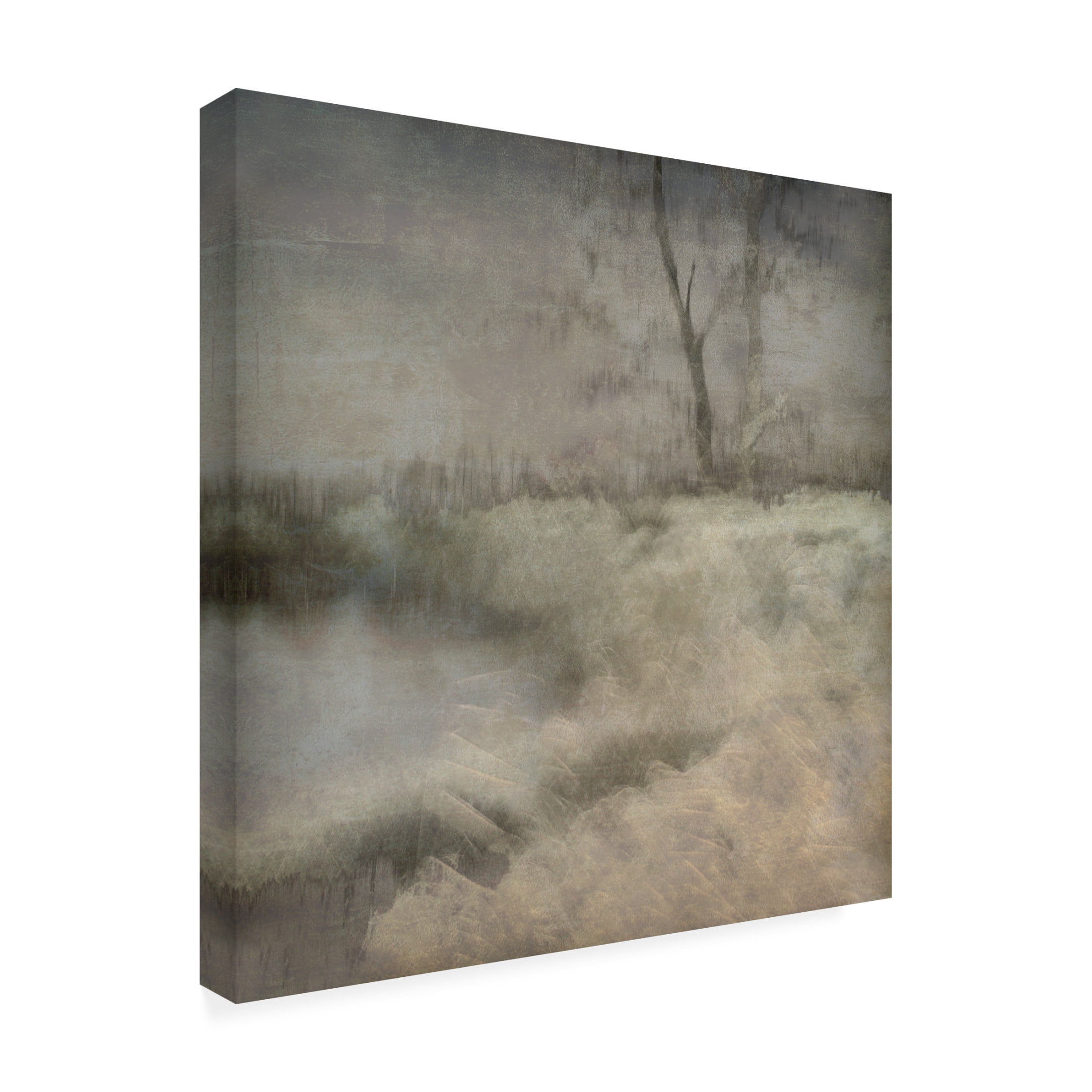 Canvas Wall Art - Nel Talen 'Little Ven' Wall Art for Living Room, Bedroom, or Office Décor by Trademark Fine Art - 24 x 24 Inches