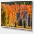 thumbnail image 2 of Fall Trees Panorama - Impression sur Toile Paysage, 2 of 4
