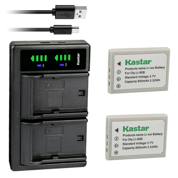 Kastar 2-Pack Battery and LTD2 USB Charger Replacement for ROLLEI DS6, Prego DP4200, Prego DP5200, Prego DP5700, Prego DP6200, Reefmaster DC 500 S5 Camera