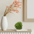 thumbnail image 4 of Fruit Photography Props Party Decoration Realistic Fruit Shakyamuni Fruit, 4 of 6