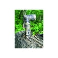 thumbnail image 3 of Blackfire Bbm980mo 250-lumen Twist Led Mossy Oak[r] Flashlight, 3 of 5