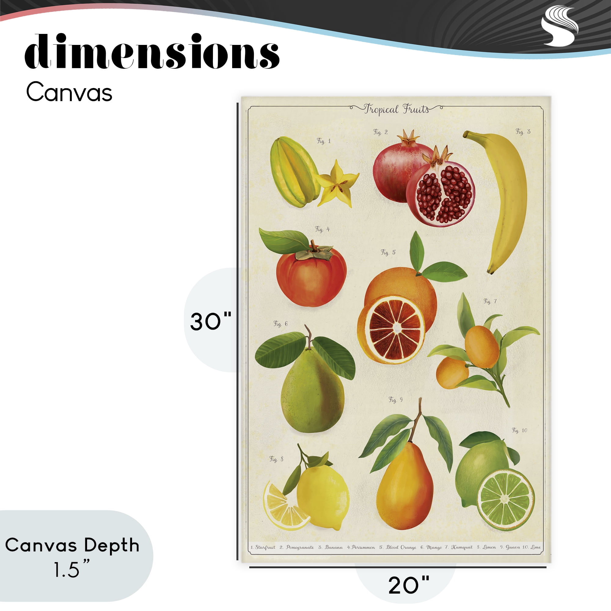 Stupell Industries Vintage Tropical Fruit Studies Canvas Wall Art, design by Diane Neukirch