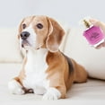 thumbnail image 4 of KMWGRE Pet Perfume Floral Scented Spray for Dogs and Cats High Appearance Grooming Care 50ml Purple 10cm, 4 of 5
