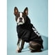 thumbnail image 3 of PETSIN Letter Graphic Pet Hoodie, 3 of 4