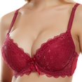 thumbnail image 2 of Soutien-gorge Sexy Grande Taille pour Femmes Dentelle Réglable Lingerie, 2 of 3