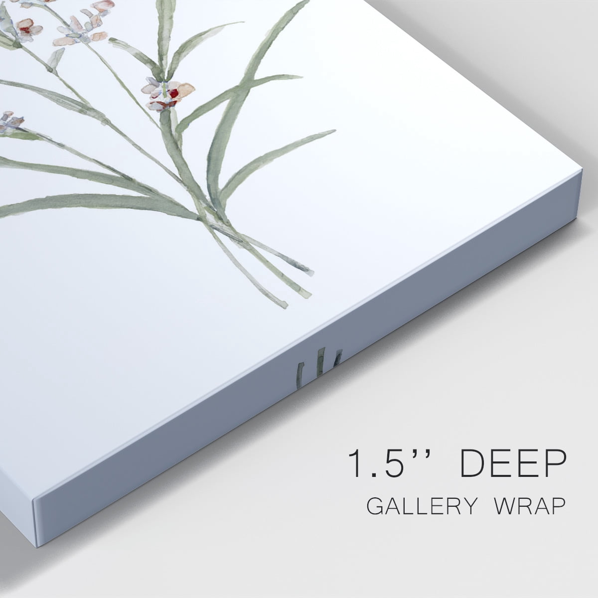Dainty Botanical I Premium Gallery Wrapped Canvas - Ready to Hang