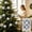 D, variant on 6Pcs Christmas Ball Ornaments Set, 2.36 Inch Shatterproof Plastic Xmas Tree Baubles, Holiday Hanging Decor for Christmas Tree Wreath Party