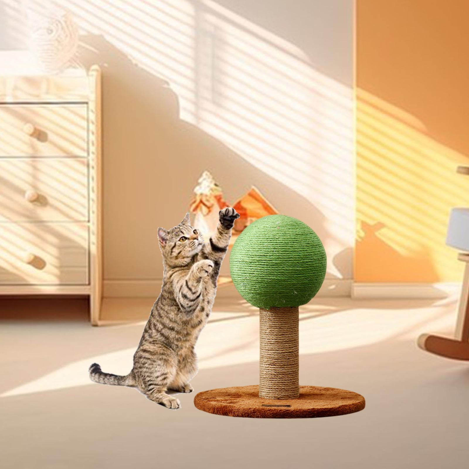 EHJRE Cat Scratching Posts Pet Toys Kitten Scratching Posts Furniture Protectors Kitten Scratching Posts Indoor Cat Sleeping Pet Supplies Single Ball