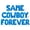 Blue, variant on Letter Balloons - SAME COWBOY FOREVER 16" Inch Alphabet Letters Foil Mylar Balloon Bachelorette or Bridal Shower Party Banner (Gold)
