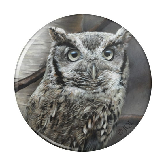 Screech Owl in a Birch Tree Pinback Button Pin