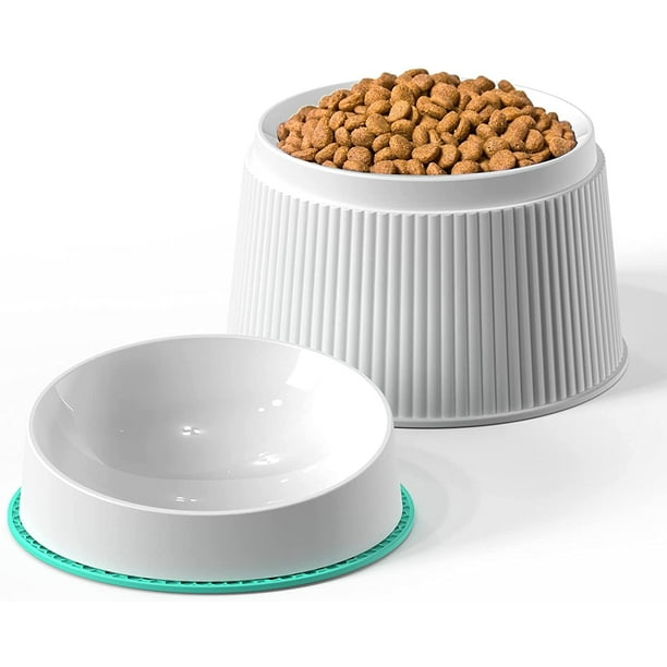 Cat bowls best sale for whisker fatigue