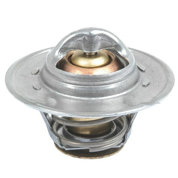 RAParts S.63077 Thermostat, 3069676R91 Fits Landini