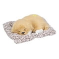 thumbnail image 3 of Perro durmiendo realista, adorable cachorro durmiendo, juguetes para niños, decoraciones, regalos para niños y niñas, Labrador, 3 of 14