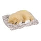 thumbnail image 3 of Adorable cachorro labrador durmiente: juguete y regalo realista para niños y niñas, 3 of 10