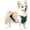 green-Male, variant on UOSIA Waterproof Dog Belly Cover Short Legged Female/Male Dog Chest Protector Warm Dog Vest,L,green-Female