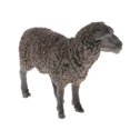 thumbnail image 4 of Decodeary Realistic Plastic Animal Figure Simualtion Model Toys Black Sheep, 4 of 8