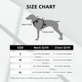 thumbnail image 2 of Dog Harness Small Medium Large Sized Dog - Toucan and Hummingbird Breathable Easy Walk No Pull Dog Harness, Adjustable Reflective Pet Dog Vest for Training, Walking, Hiking, 2 of 5