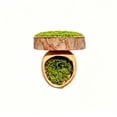 thumbnail image 2 of Pequeña Cueva Magnética para Escondites de Escaladores: Decoración de Terrario de Virutas de Madera Natural y Cáscara de Nuez con Follaje Artificial para Paredes de Acuarios de Cristal., 2 of 7