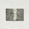 thumbnail image 3 of Luxe Metal Art 'Tone on Tone' by Silvia Vassileva, Metal Wall Art, 24" x 16", 3 of 8