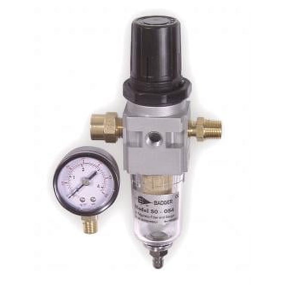 Badger Regulator, Gauge, and Filter