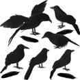 thumbnail image 1 of De Cuervos Negros De Halloween, Cuervos De Plumas Artificiales Negros, Cuervos Realistas Hechos A Mano Para Decoración Interior Y Exterior 6 Uds. Guardurnaity HA038566-00, 1 of 5