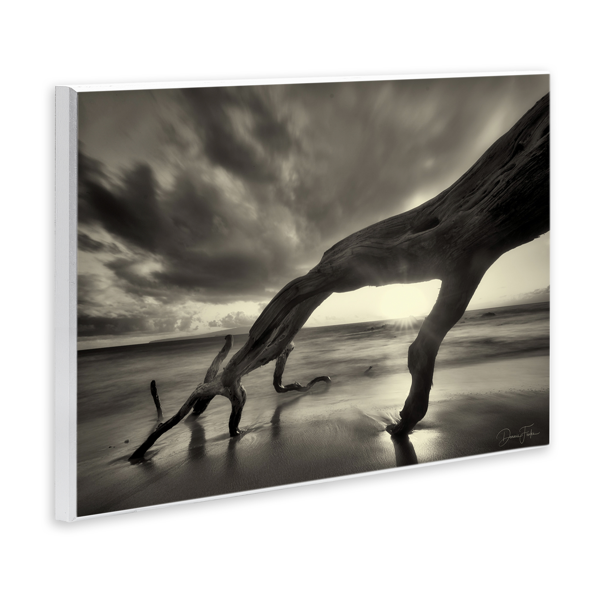 Stupell Industries Tree Trunk on Shore Landscape Photography Unframed Art Print Wall Art, 15 x 10