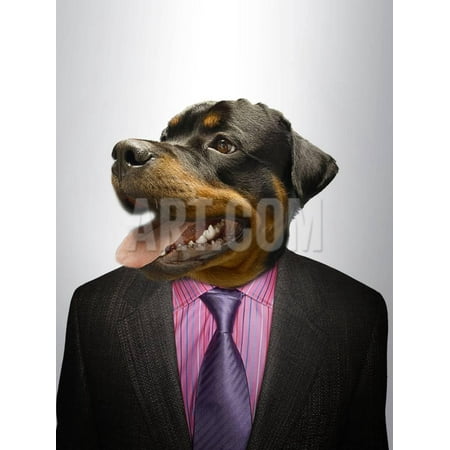 Rottweiler Dog Dressed Up As Formal Business Man Print Wall Art By