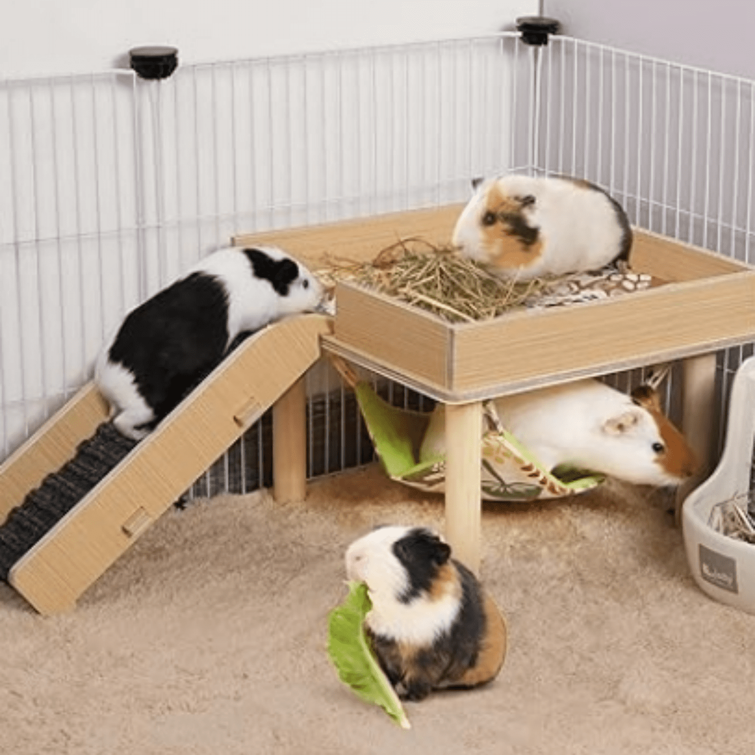 Guinea Pigs Hammock with Platform, Safe Wooden Guinea Pig Hideout with Stairs, Durable Small Pet Bed for Piggies Chinchilla Rat Hamster Bunny (Single Hammock)