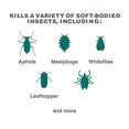 thumbnail image 3 of Insect Killing Soap Concentrate for Plants Kills Aphids Whiteflies Thrips Spider Mites OMRI Listed for Organic Use Style 1 Pack, 3 of 6