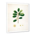 thumbnail image 2 of Designart 'Ancient London Plants IX' Farmhouse Framed Art Print, 2 of 4