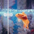 thumbnail image 4 of Shisuyan Isolation Clip For Aquarium Fish Tank White 5Pcs 3.14x2.36x0.79In, 4 of 8