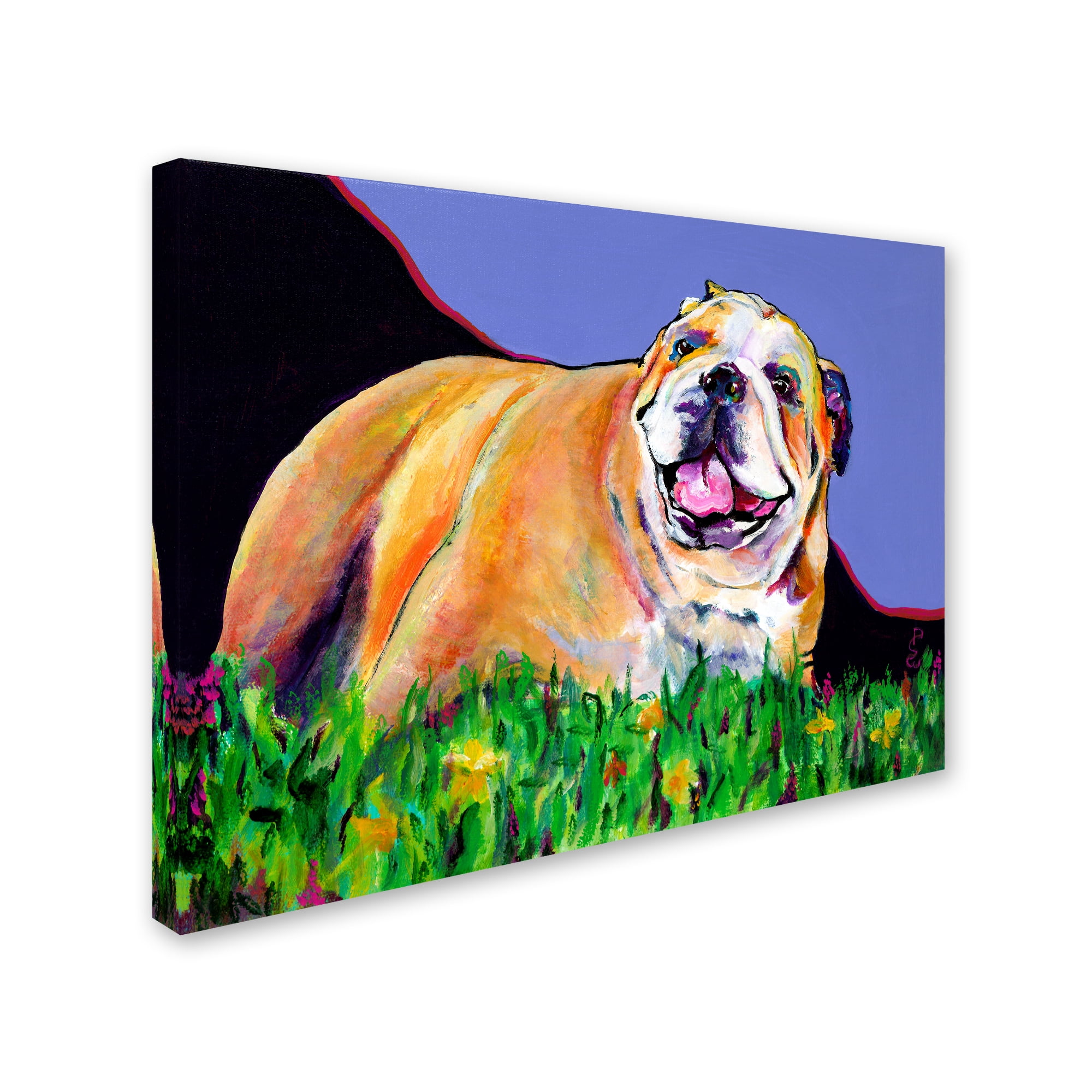 Trademark Fine Art 'Spring Fever' Canvas Art by Pat Saunders-White