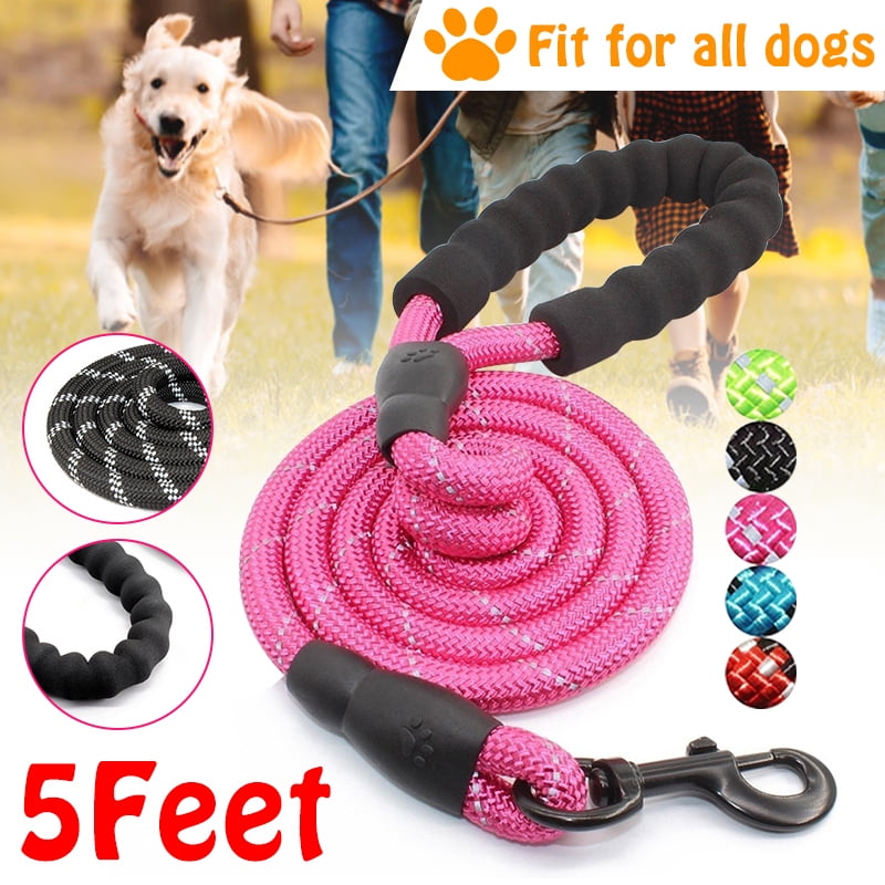 huge dog rope