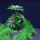 thumbnail image 4 of Plantas de acuario, 10 piezas de plantas de acuario artificiales, utilizadas para la decoración del acuario., 4 of 5